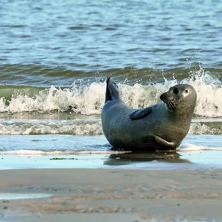 Gud Jard Nr 16 - Design-ferienhaus Mit Exklusiver Ausstattung