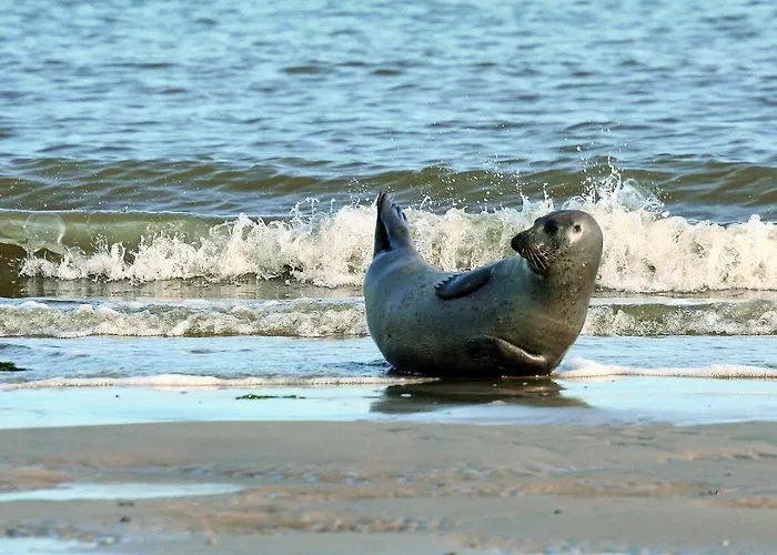 Gud Jard Nr 16 - Design-ferienhaus Mit Exklusiver Ausstattung