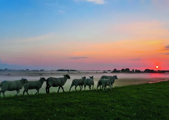 Semesterbostad Gud Jard Nr 16 - Design-ferienhaus Mit Exklusiver Ausstattung